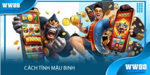 cach tinh mau binh ww88